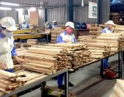 FDI vào ngành gỗ tăng mạnh