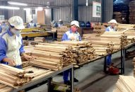 FDI vào ngành gỗ tăng mạnh